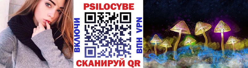 ОМГ ОМГ ССЫЛКА  купить  сайты  Чадан  Галлюциногенные грибы Psilocybe 